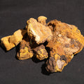 Dry Mulberry Meishima Mushroom