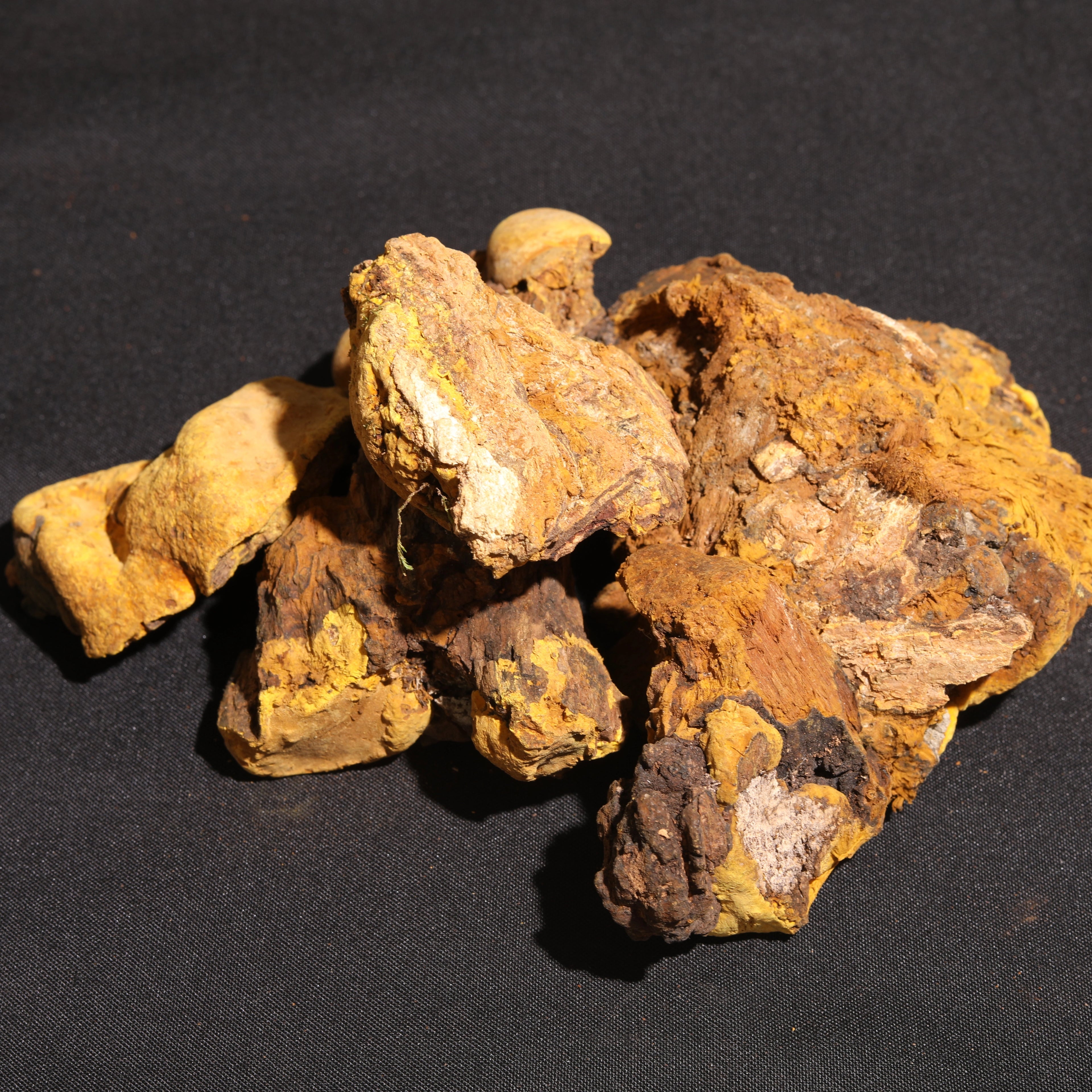 Dry Mulberry Meishima Mushroom