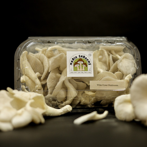 White Oyster Mushroom