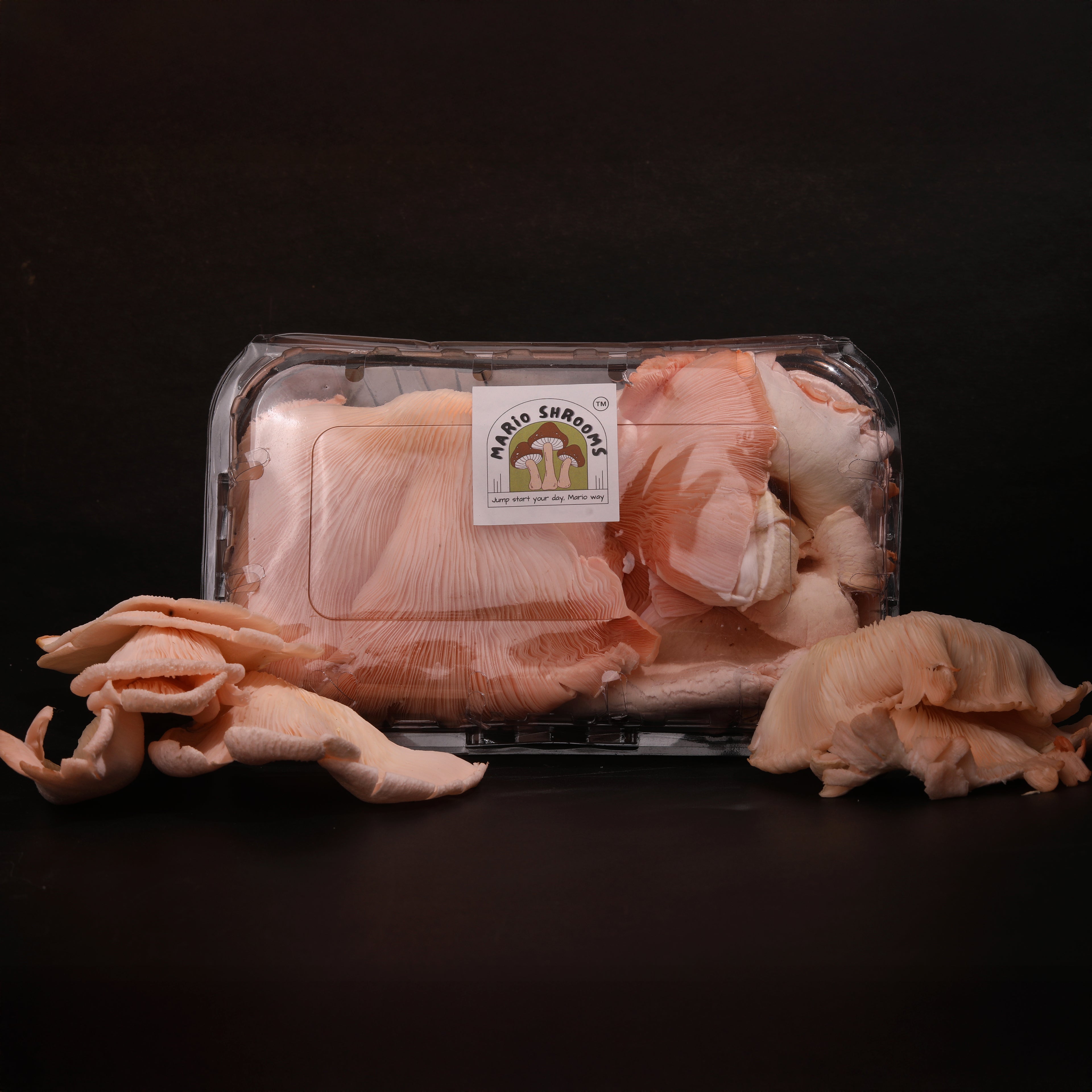 Pink Oyster Mushroom