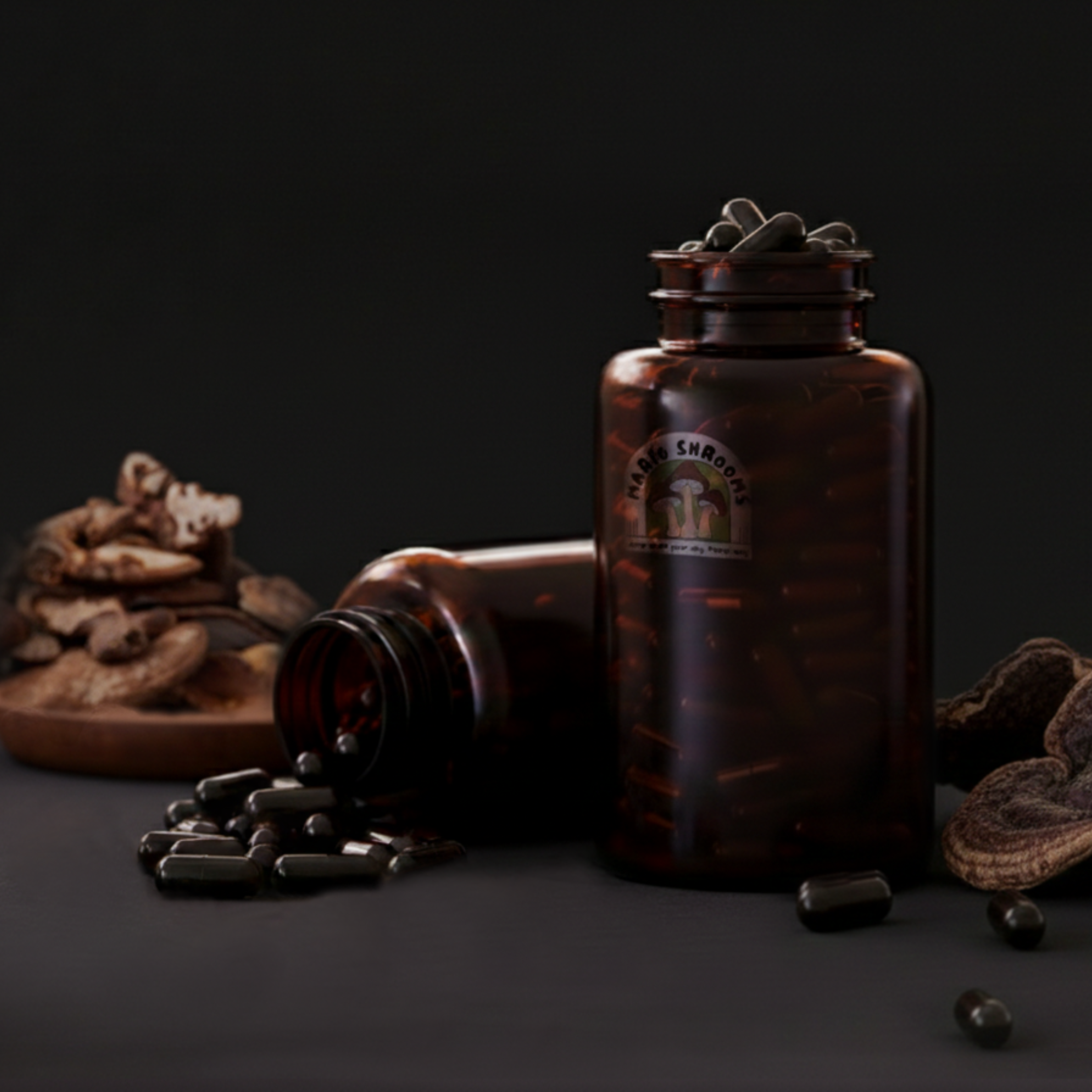 Reishi Extract - Capsules